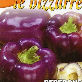 Paprika - ODA - semená