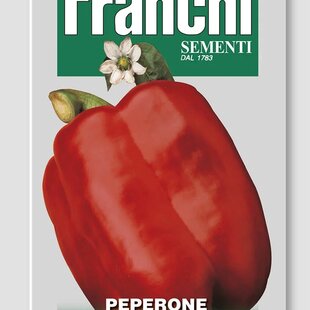 Paprika - QUADRATO D´ASTI ROSSO - semená