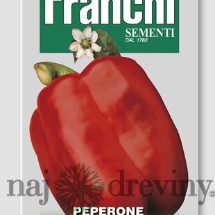 Paprika - QUADRATO D´ASTI ROSSO - semená