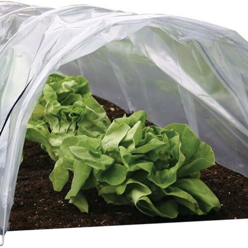 Parenisko Strend Pro Greenhouse, mini fóliovník, 55x1000x40 cm