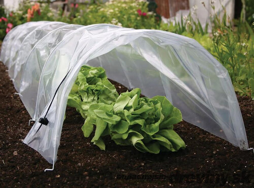 Parenisko Strend Pro Greenhouse, mini fóliovník, 55x300x40 cm
