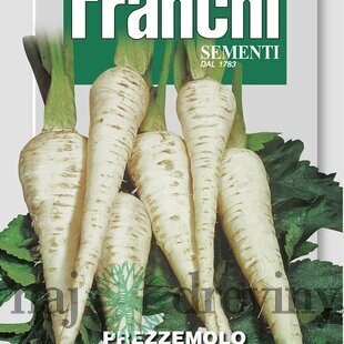 Petržlen - HALFLANGE - semená, 12g