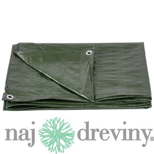 Plachta Tarpaulin Light 2x2 m, 65 g/m, zakrývacia, zelená, s okami