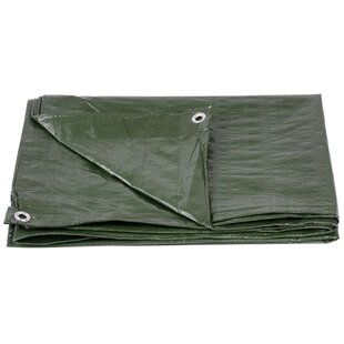 Plachta Tarpaulin Light 2x2 m, 65 g/m, zakrývacia, zelená, s okami