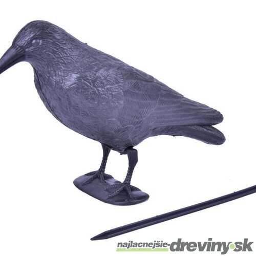 Plašič vtákov Havran čierny, 38 cm