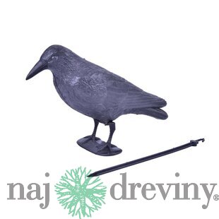 Plašič vtákov Havran čierny, 38 cm