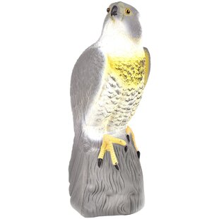 Plašič vtákov, Jastrab, 40 cm