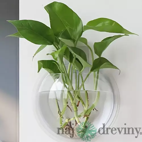 Plastová závesná váza