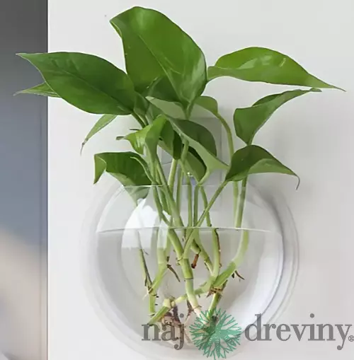 Plastová závesná váza