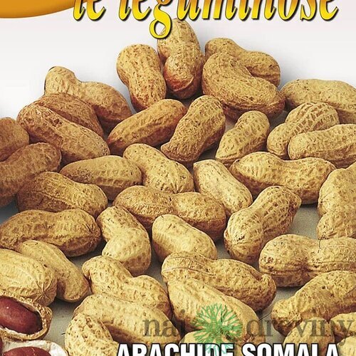 Podzemnica olejná - arašidy 50 gr.