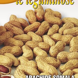 Podzemnica olejná - arašidy 50 gr.