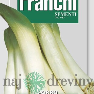 Pór - GIGANTE DE INVERNO 2 semená 6 gr.