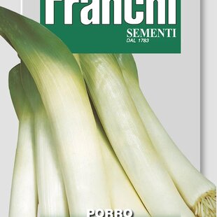 Pór - GIGANTE DE INVERNO 2 semená 6 gr.