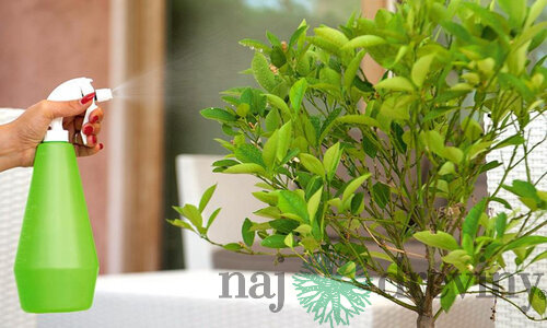 Postrekovač dimartino® GARDEN.500, ručný rozprašovač, 480cc