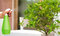 Postrekovač dimartino® GARDEN.500, ručný rozprašovač, 480cc