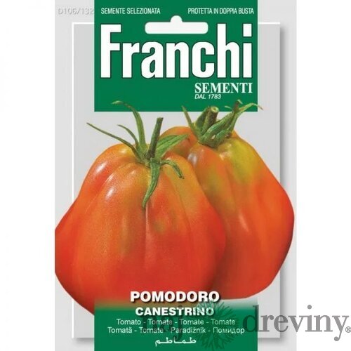 Rajčiak - CANESTRINO