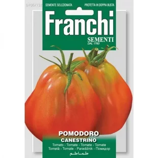 Rajčiak - CANESTRINO