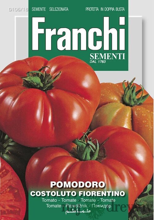 Rajčiak - COSTOLUTO FIORENTINO