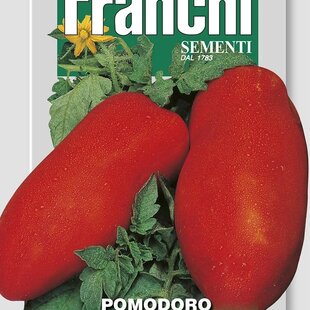 Rajčiak kríčkový - SCATOLONE - semená