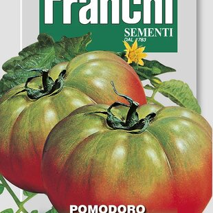 Rajčiak - PANTANO - semená