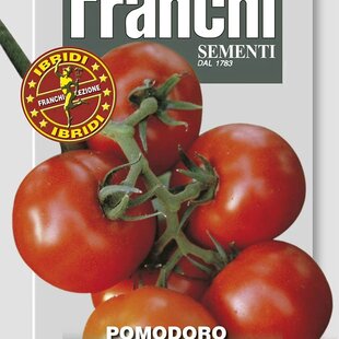 Rajčiak tyčkový - REDUNA F1