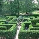 Rastliny na živý plot