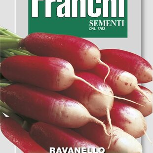 Reďkovka - FLAMBOYANT 3 - semená