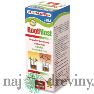 ROOTMOST 100 ml