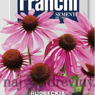 Rudbeckia - PURPLE RED - semená