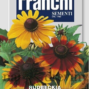 Rudbeckia srsnatá - GLORIOSA DAISES – ZMES FARIEB