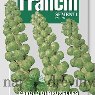 Ružičkový kel - CAVOLO DI BRUXELLES semená 8 gr.