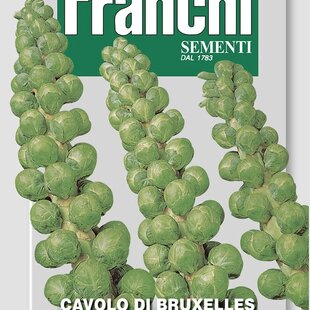 Ružičkový kel - CAVOLO DI BRUXELLES semená 8 gr.