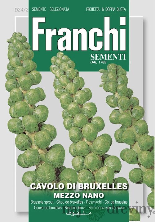 Ružičkový kel - CAVOLO DI BRUXELLES semená 8 gr.