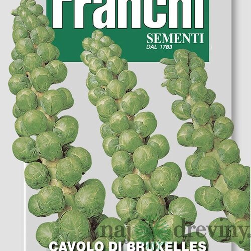 Ružičkový kel - CAVOLO DI BRUXELLES semená 8 gr.