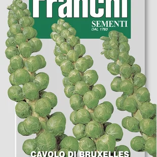 Ružičkový kel - CAVOLO DI BRUXELLES semená 8 gr.