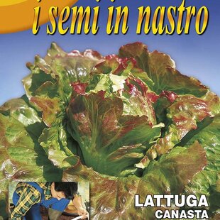 ŠALÁT - CANASTA (Výsevný pásik 5 metrov)