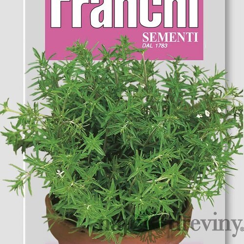 Saturejka záhradná