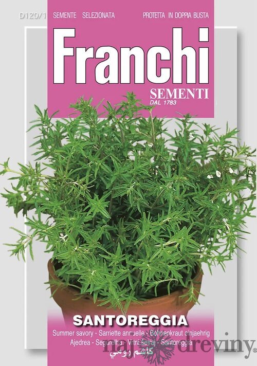 Saturejka záhradná