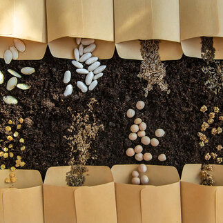 Semená a osivá za zvýhodnené ceny – jarný predaj je spustený