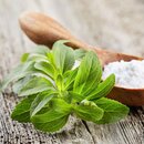 Semená stevia