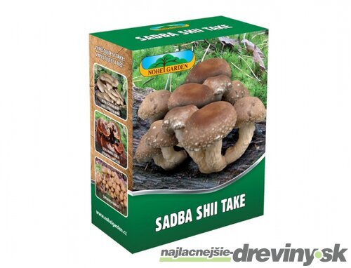 Shiitake záhradka 100% BIO celoročná (elixír života) Jedlé huby liečivé Lentinula edodes