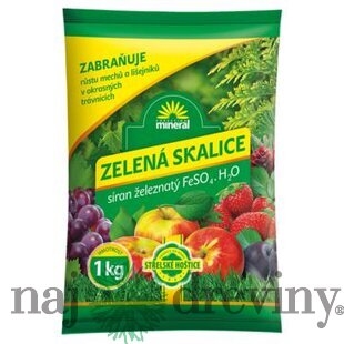 Skalica zelená MINERAL FeSO4 1kg