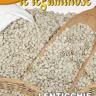 Šošovica