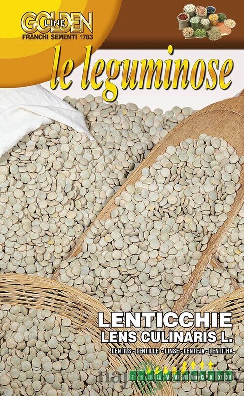 Šošovica