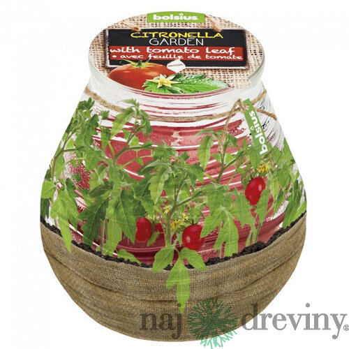 Sviečka bolsius Teracce Citronella, repelentná, 94/91 mm, paradajka