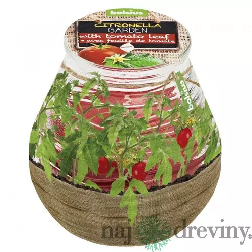 Sviečka bolsius Teracce Citronella, repelentná, 94/91 mm, paradajka
