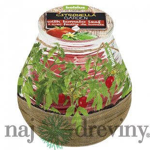Sviečka bolsius Teracce Citronella, repelentná, 94/91 mm, paradajka