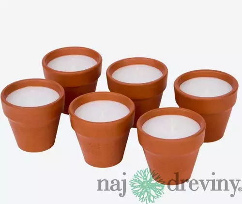 Sviečka Citronela v Terakotovej nádobe - biela