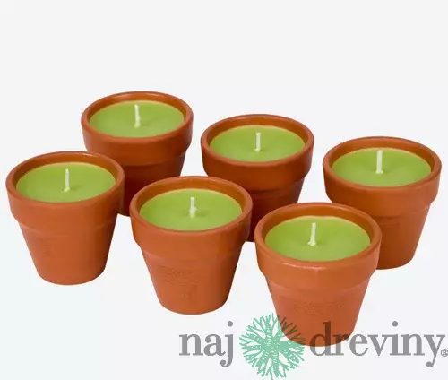 Sviečka Citronela v Terakotovej nádobe - zelená