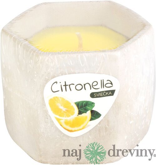 Sviečka Citronella, cement, 85 g, repelentná, 90x75 mm